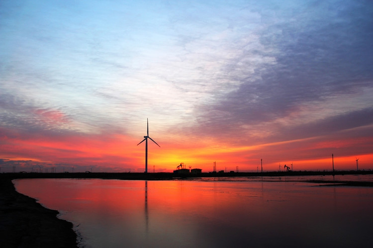 风电三巨头“呼风唤电”黄河口