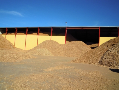 电生物质长达两万八千