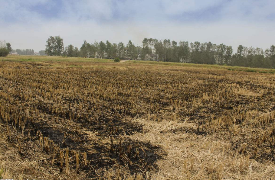 未来三年哈尔滨将大力推进秸秆综合利用