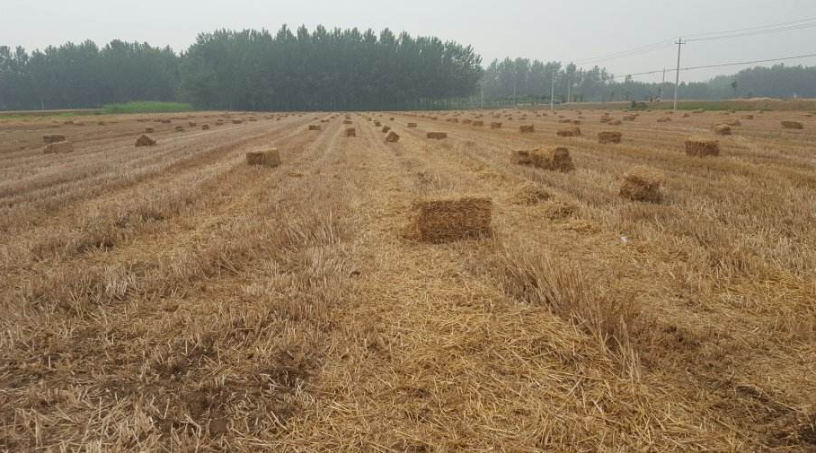 铜山棠张村千户居民用上沼气