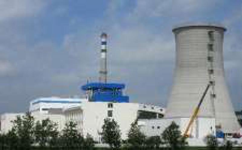 中国能建安徽电建一公司承建的安徽天长生物质发电机组成功并网