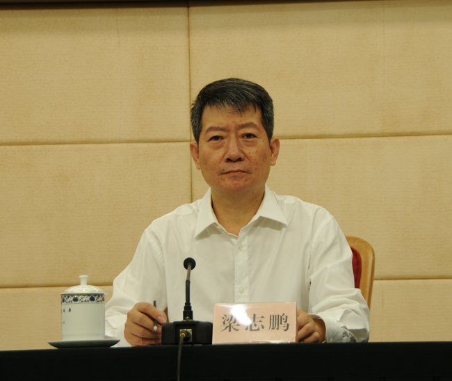 梁志鹏:通过监测、督查、调度等五方面措施加强可再生能源消纳