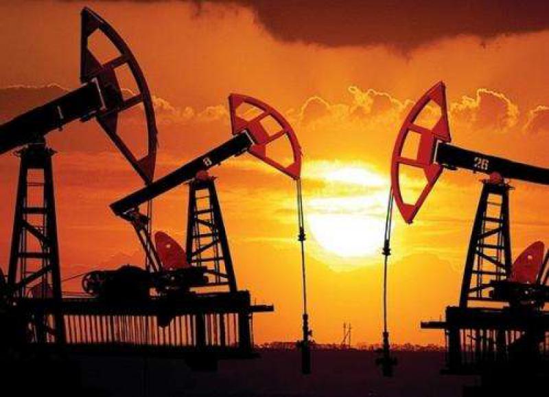 越南总理建议VER继续为石油和天然气行业做出贡献