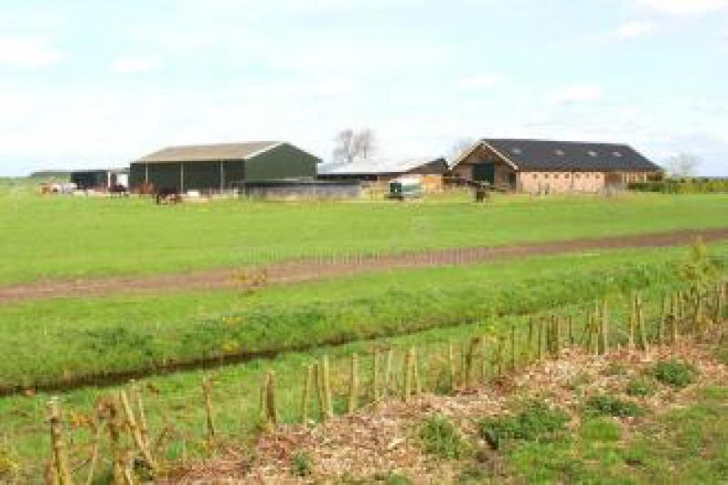 荷兰的三个太阳能农场得到了一亿欧元投资