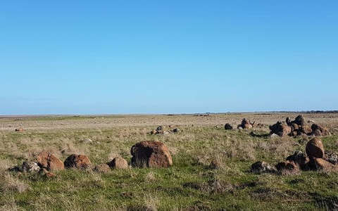 金色平原风电场：为当地农民提供帮助