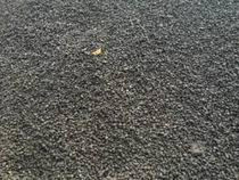 溪洛渡水电站：五年做好五件事