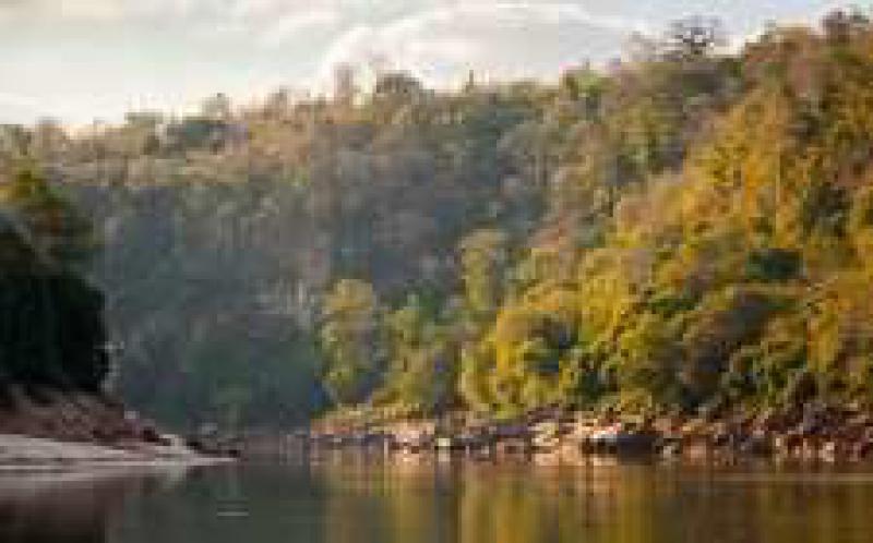 坦桑尼亚政府在塞卢斯禁猎区实施水电项目