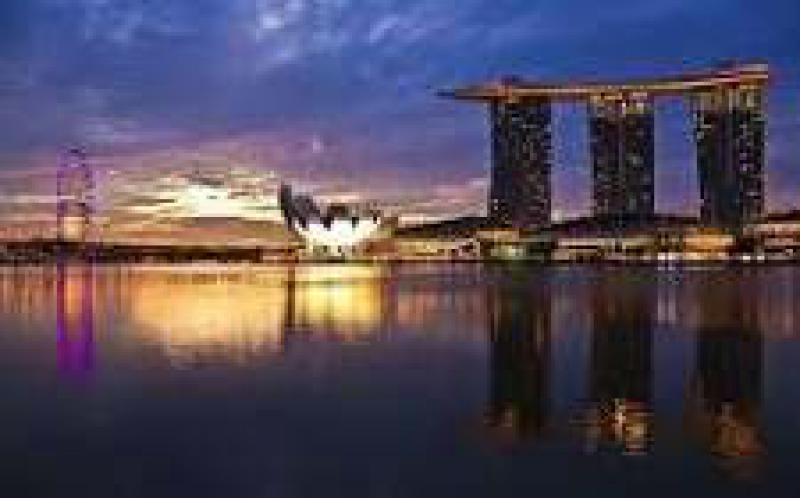 马尼拉热电站将于下周拍卖