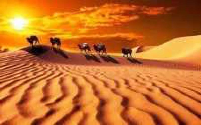 第73届联合国大会主席称将继续支持“一带一路”倡议