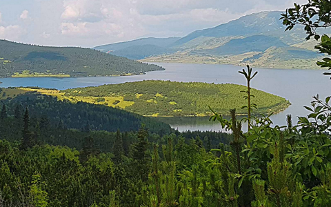 保加利亚的电力公司NEK财务报告上半年亏损，部分投资将被取消