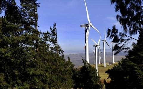 肯尼亚第二大风力发电厂