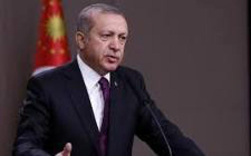 土耳其总统埃尔多安推出为期100天的能源计划