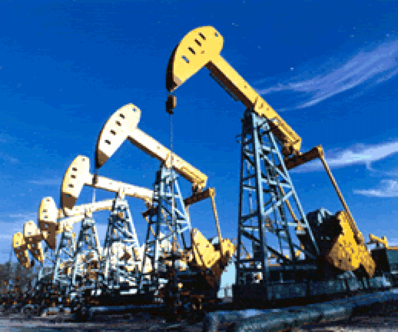 油气是支柱： “一带一路”倡议下的中阿战略合作