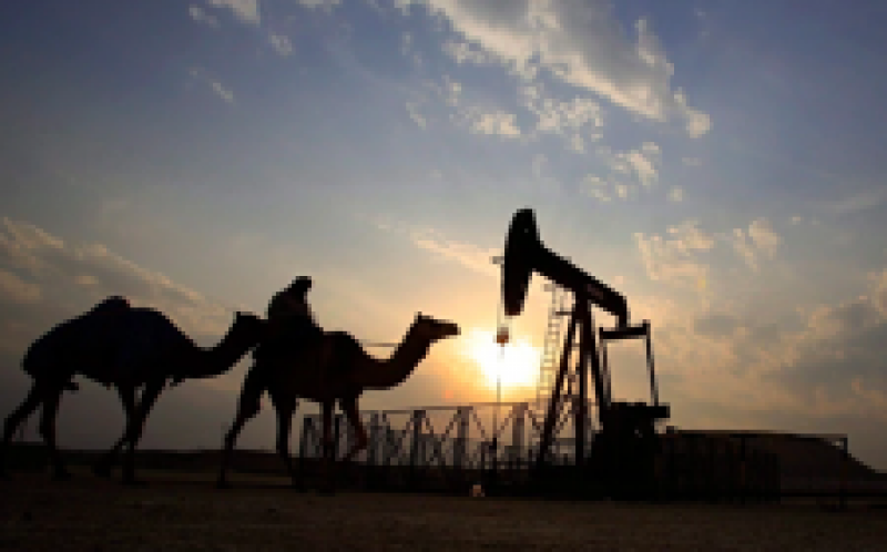 能源经济学家表示，沙特阿拉伯原油进口到加拿大很容易取代