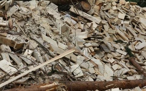 克罗地亚建造两个生物质燃料热电联产工厂