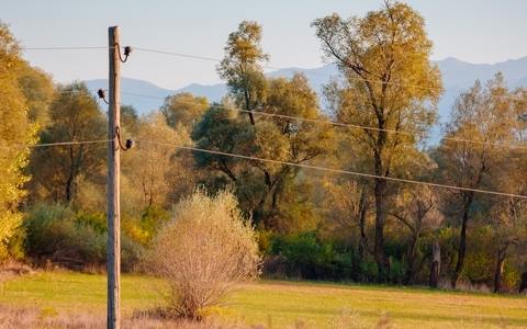为振兴黑山配电网络，CEDIS将在分销网络上投资8160万欧元