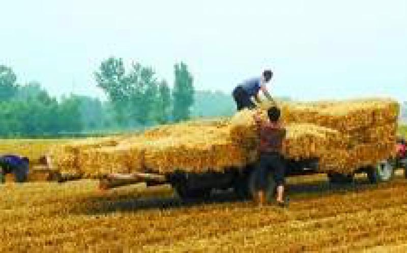 河北省秸秆综合利用水平居全国前列