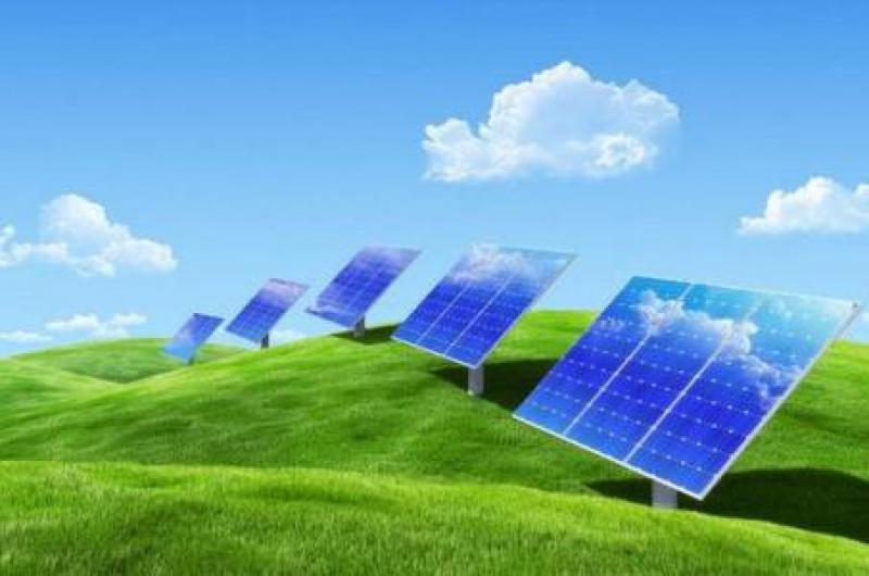 山东：自然保护区内违法开展光伏等能源设施活动将被叫停