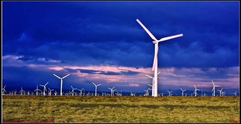 上半年新疆风电光电运行良好