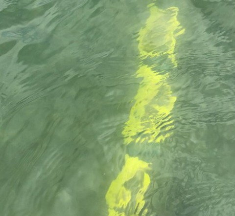 布洛克岛的新月海滩因退潮导致高压风电线缆暴露