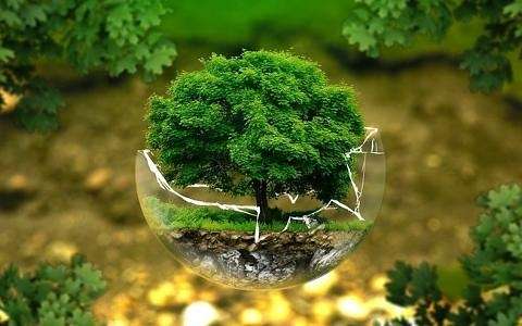 欧洲第一个汽车可再生能源PPA支持企业应对气候变化