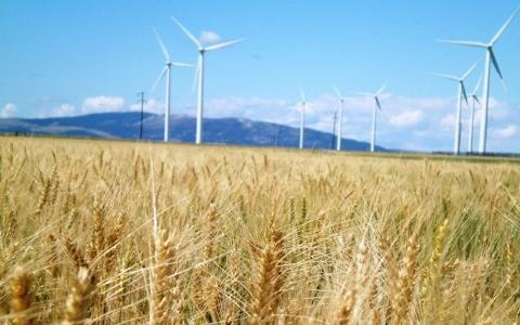 立陶宛政府将考虑新的可再生能源发展模式