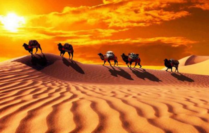 乌克兰经贸部介绍乌实施“丝绸之路”项目落实情况