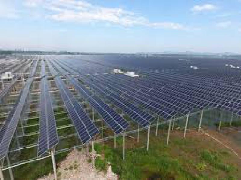 平圩发电光伏项目2018年累计发电突破1亿千瓦时