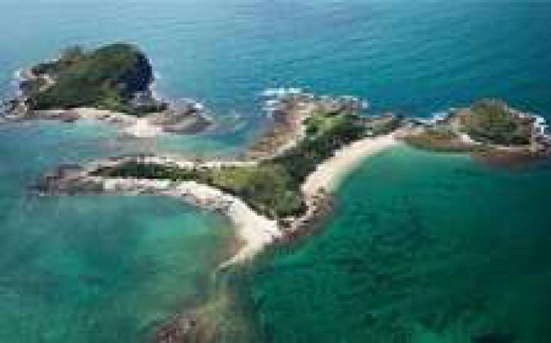 澳大利亚的NEG取得了进展