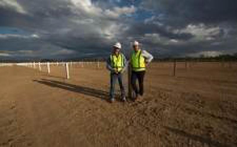 科林斯维尔太阳能项目开始向电网供电