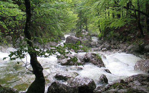 斯洛文尼亚支付6,940万欧元建设可再生能源