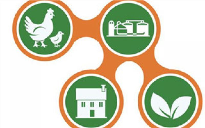 内布拉斯加州或将建造粪便发电厂