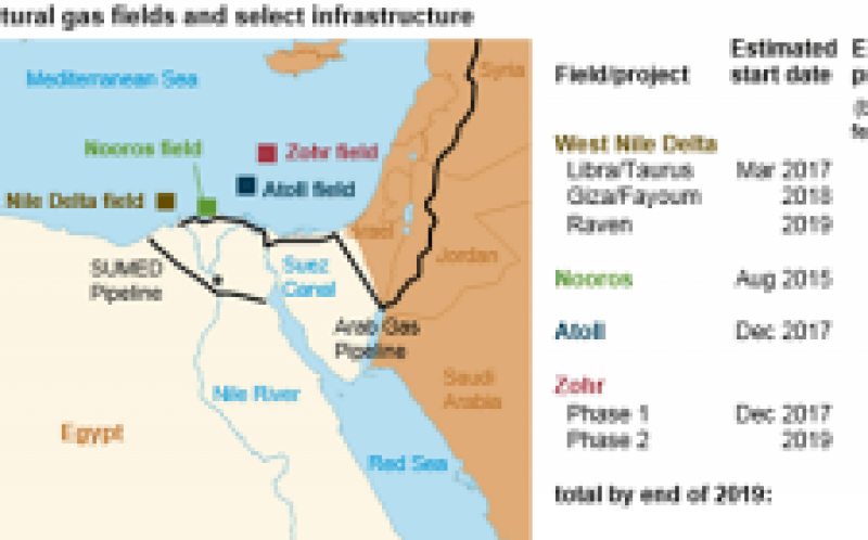 环境影响评价：埃及天然气产量可能增加