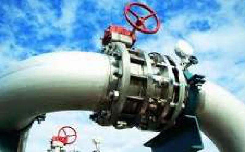 埃及石油部长埃尔瓦坦说，埃及将从1月开始出口天然气