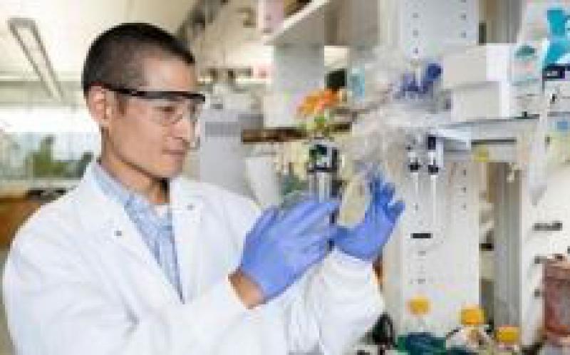 Discovery可保护酵母免受生物燃料生产的损害