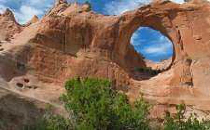 亚利桑那州可再生能源公投符合签字要求