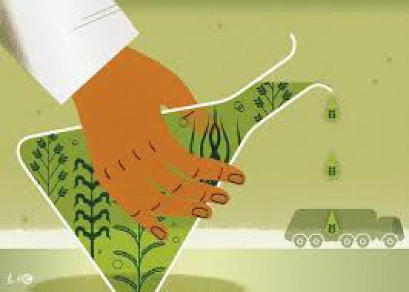 韩国7月份乙醇进口量环比下降41%