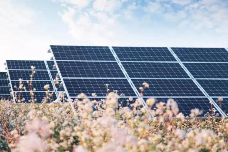 西北电网推广新能源快速频率响应功能应用