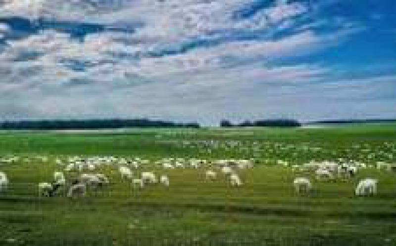 内蒙古加快构建现代能源经济体系