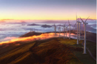 Adani Green Energy收购AGEPteL以投资国际可再生​​能源业务