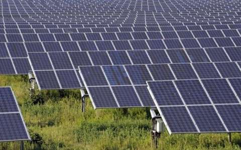 NEA购买19MW的太阳能电力