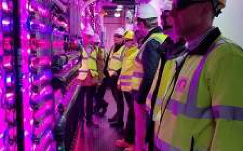 藻类生产将在冰岛的Hellisheidi地热厂建立