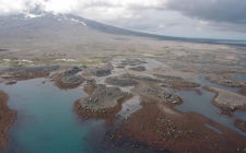 阿拉斯加州寻求土地提名以进行潜在的地热租赁销售