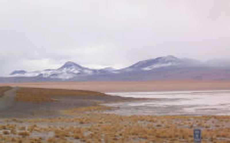 RFP：技术协调地热开发，Laguna Colorada，玻利维亚