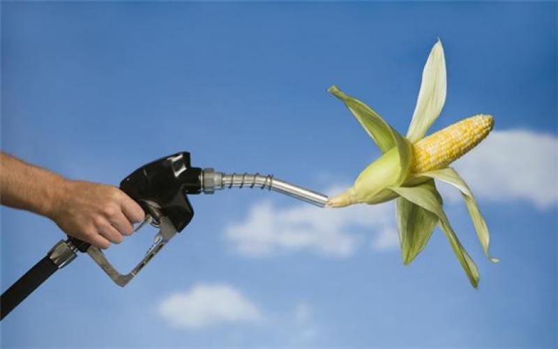 国务院常务会议确定生物燃料乙醇产业总体布局