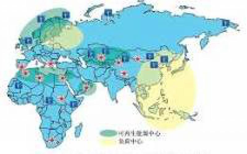 加快亚非能源互联网建设 推动清洁能源开发利用