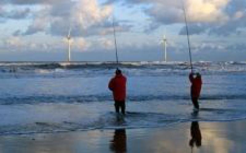 绿色能源关税现在“市场上最便宜”