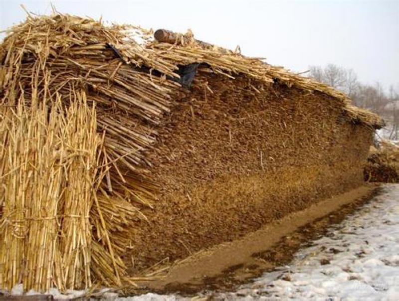 为何乌克兰需要生物甲烷 