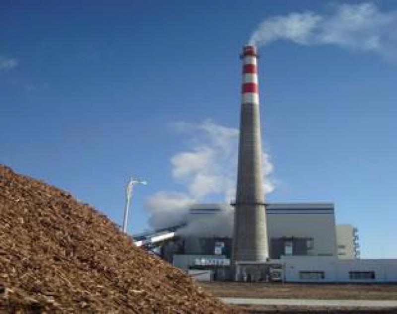 生物质发电去补贴或快于预期