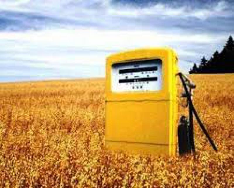 生物能源可以在2018年为欧洲提供43天的燃料